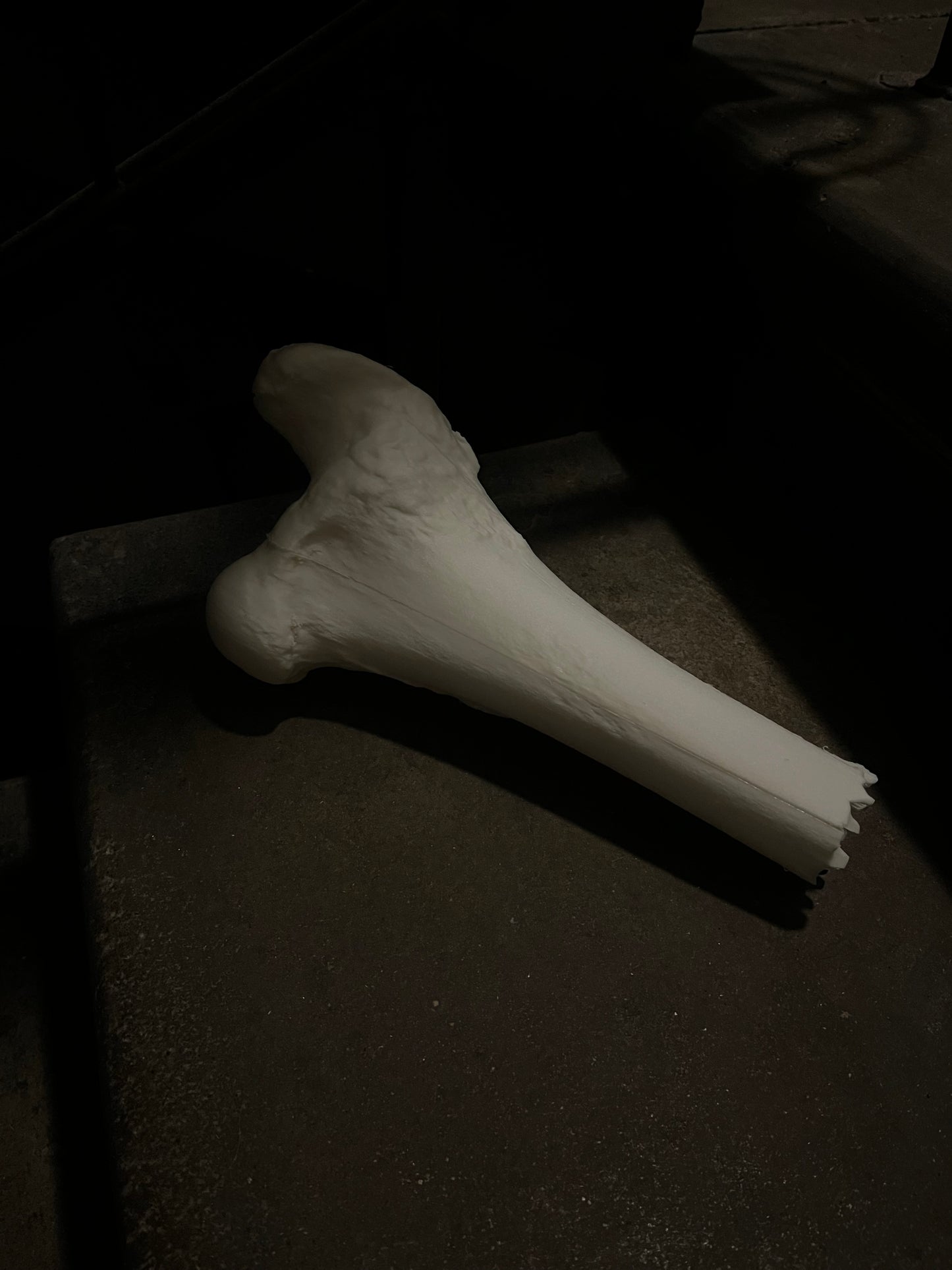 Bone flashlight for horror quest. Remote Controlled