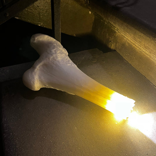 Фонарик из костей для квестов ужасов. Дистанционное управление.