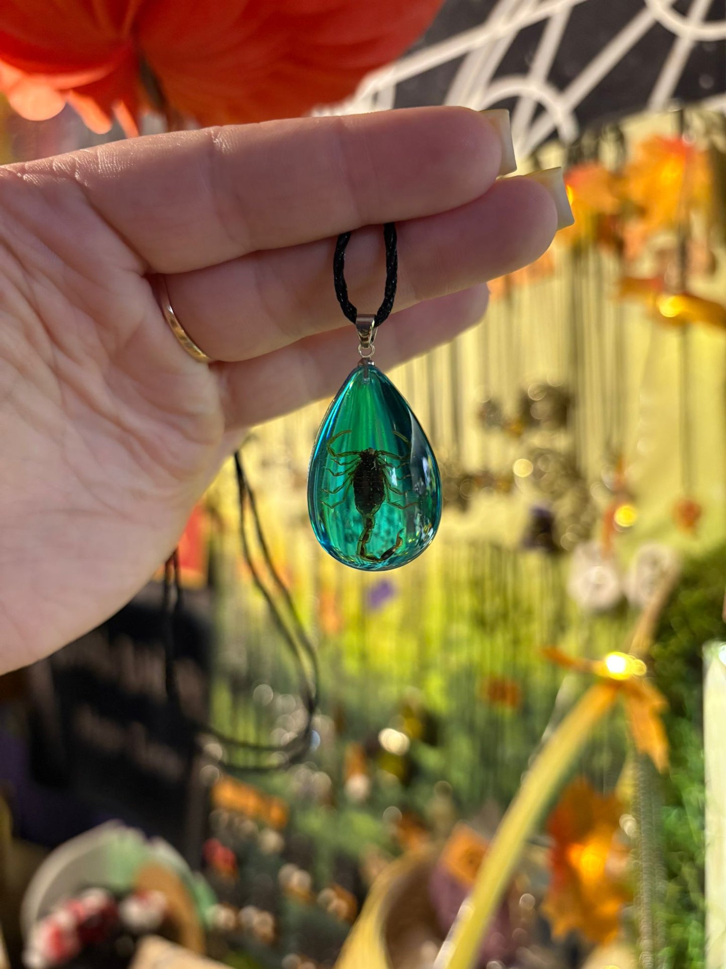 Natural insect jewelry displayed at Weasgley Craft & Magic Riga