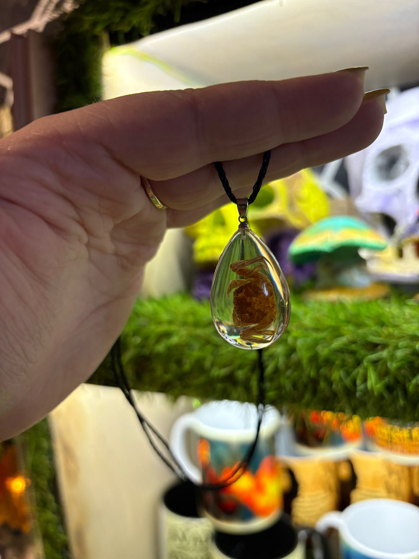 Kulons ar krabi sveķu kristālā.