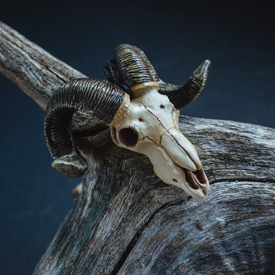 Ram skull pendant - Nyth