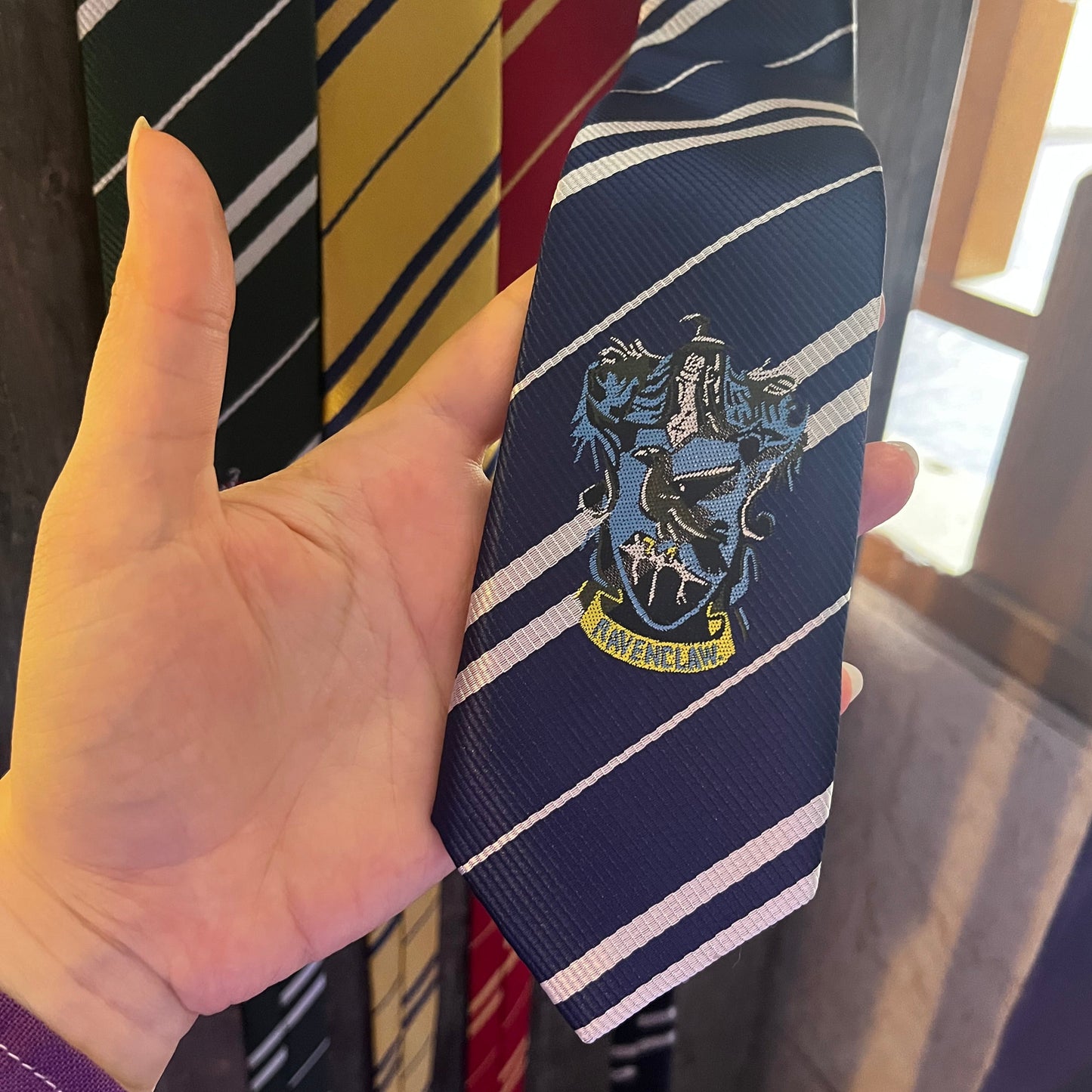 Hogwarts House Tie