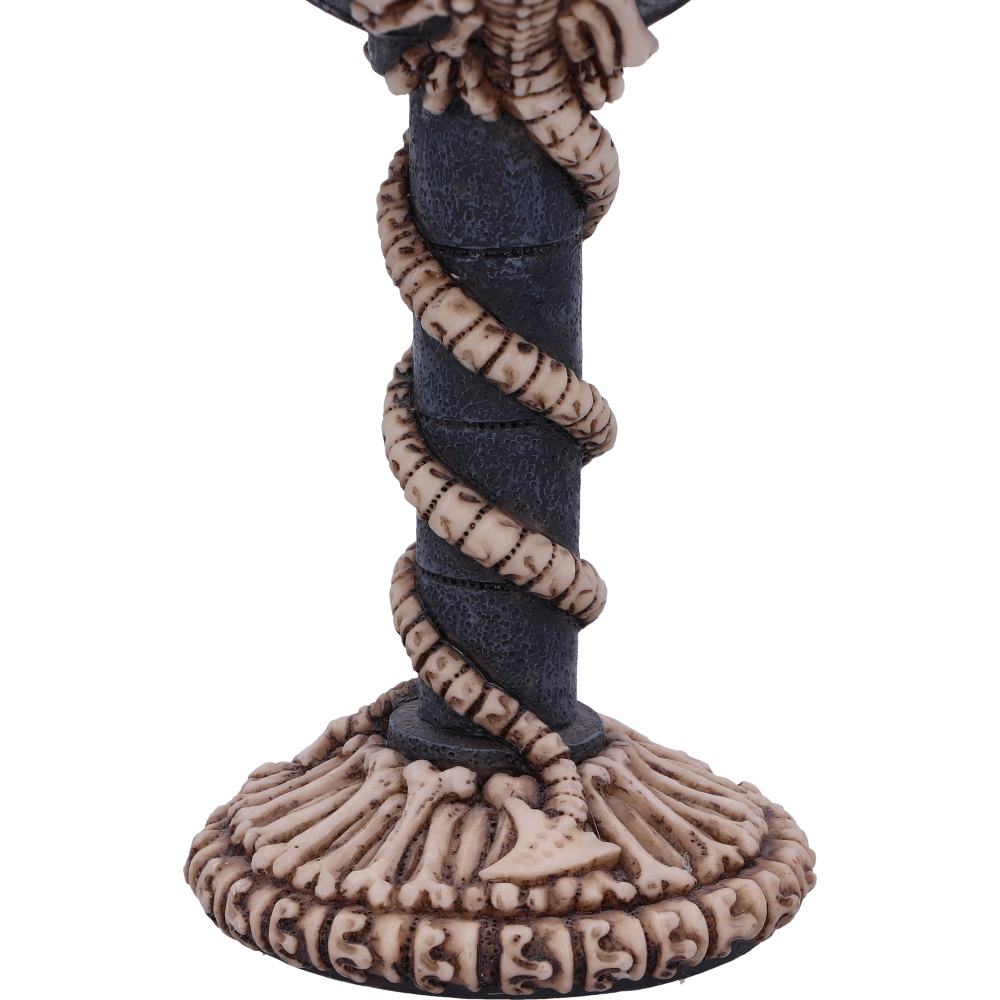 Gothic Goblet Collection – Dark Fantasy Chalices